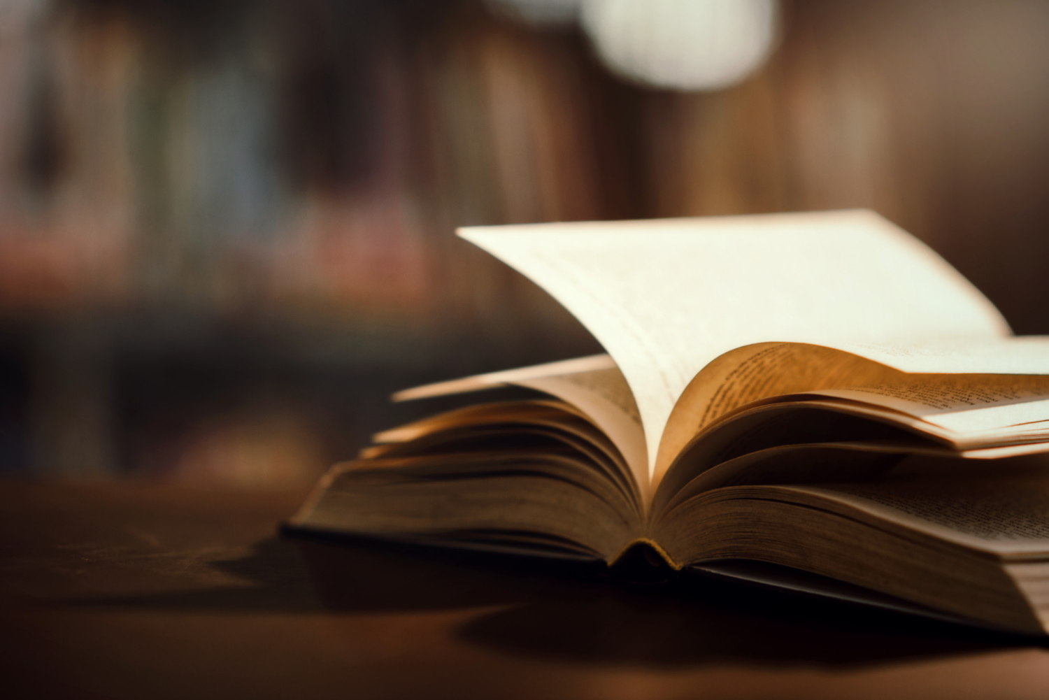 libro-biblioteca-libro-texto-abierto (1)